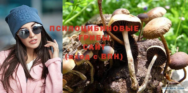 ешки Алзамай