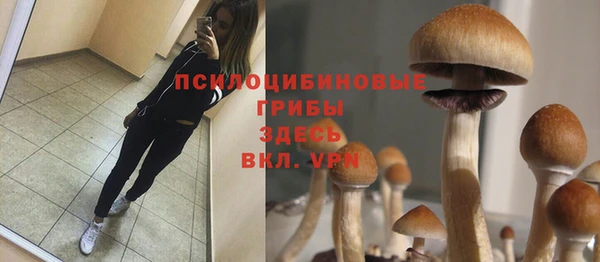 ешки Алзамай
