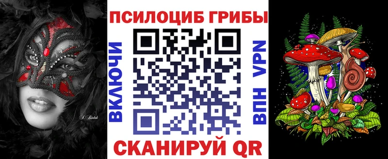 купить наркотик  Грязовец  Галлюциногенные грибы Psilocybine cubensis 