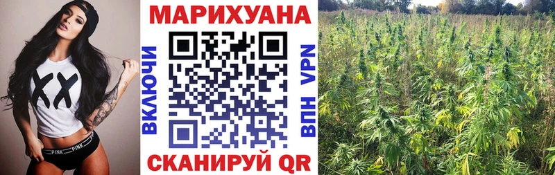 Бошки марихуана планчик  Грязовец 